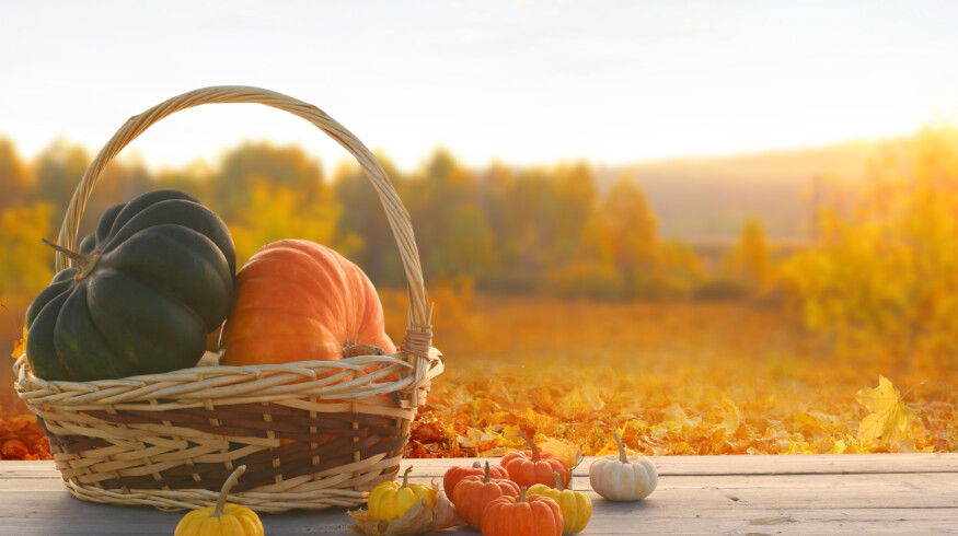 How to turn pumpkin scraps into natural fertilizer