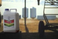 Bayer introduces EverGol Rise seed treatment in Canada