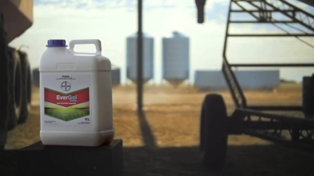 Bayer introduces EverGol Rise seed treatment in Canada