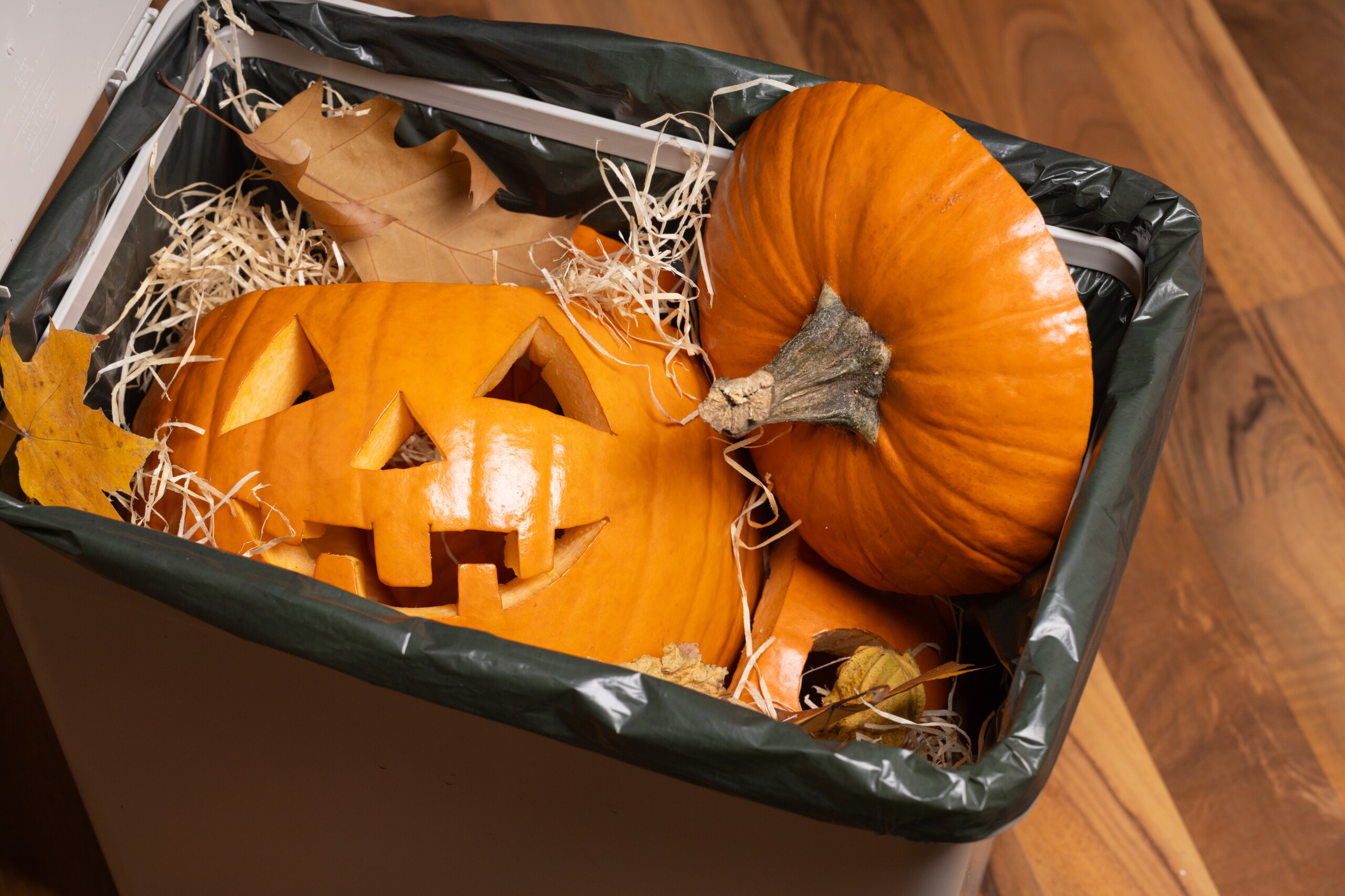 Carved pumpkin with spooky face sits in trash bin with orange pumpkins, autumn leaves, and straw, representing Halloween and seasonal transition in a cozy environment