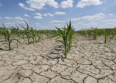 Brazil’s first arid zone emerges in the northeast, raising alarms over climate risks nationwide