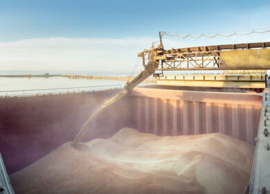 Russia sets 20 million tons grain export quota for the first half of 2026