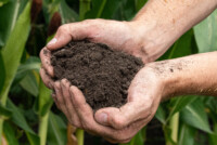 USDA launches $700m regenerative farming pilot focusing on lowering U.S. farmer’s production costs