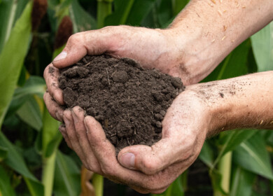 USDA launches $700m regenerative farming pilot focusing on lowering U.S. farmer’s production costs