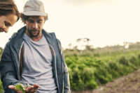 Just Climate raises $375 million to scale natural climate solutions