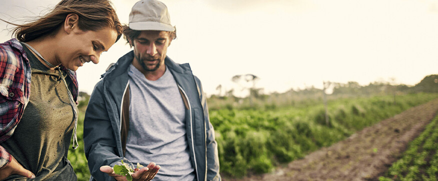 Just Climate raises $375 million to scale natural climate solutions