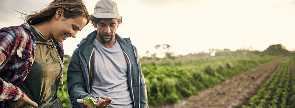 Just Climate raises $375 million to scale natural climate solutions