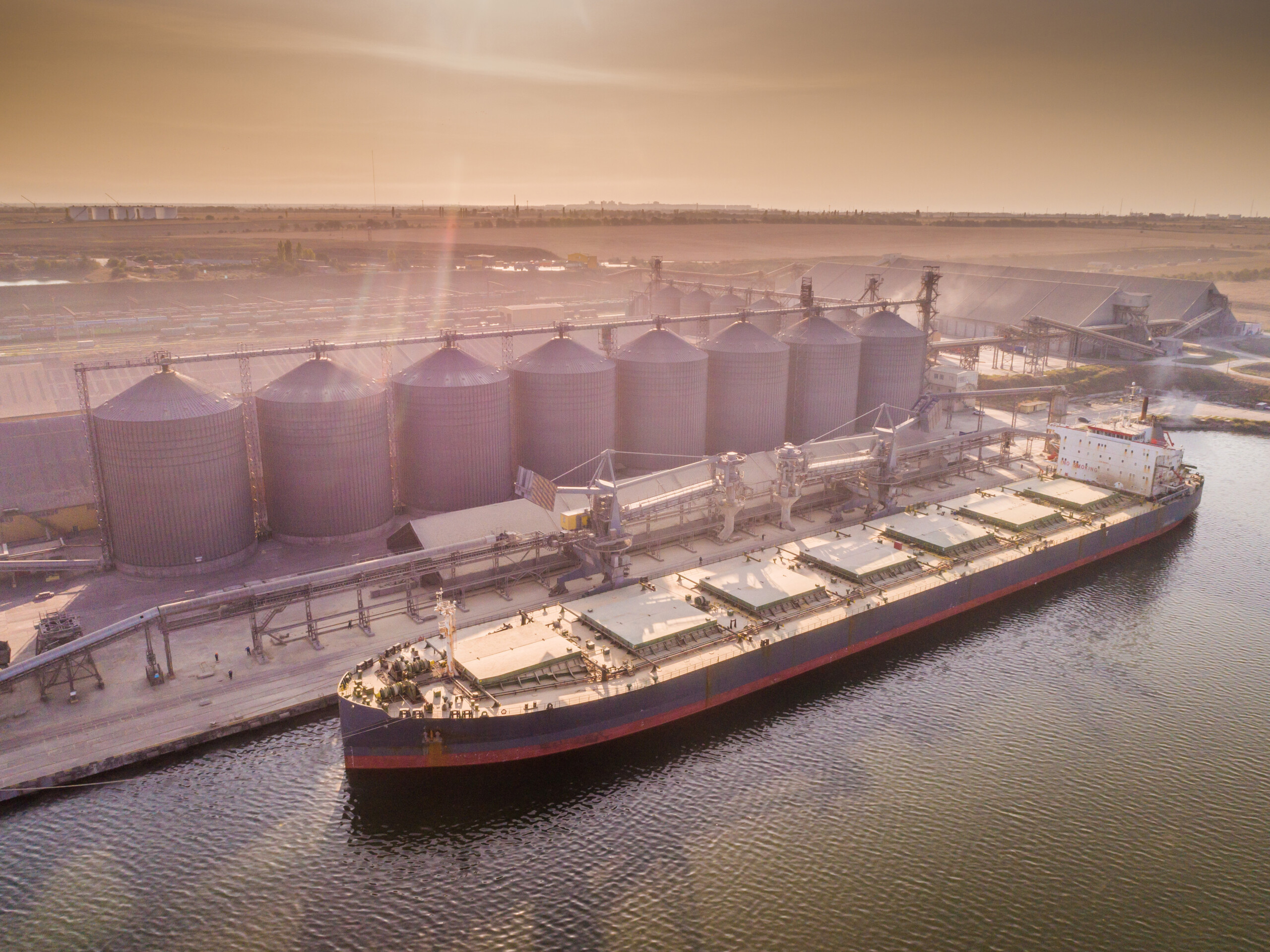 India makes forward soy oil purchases amid expected tightening in global vegetable oil markets