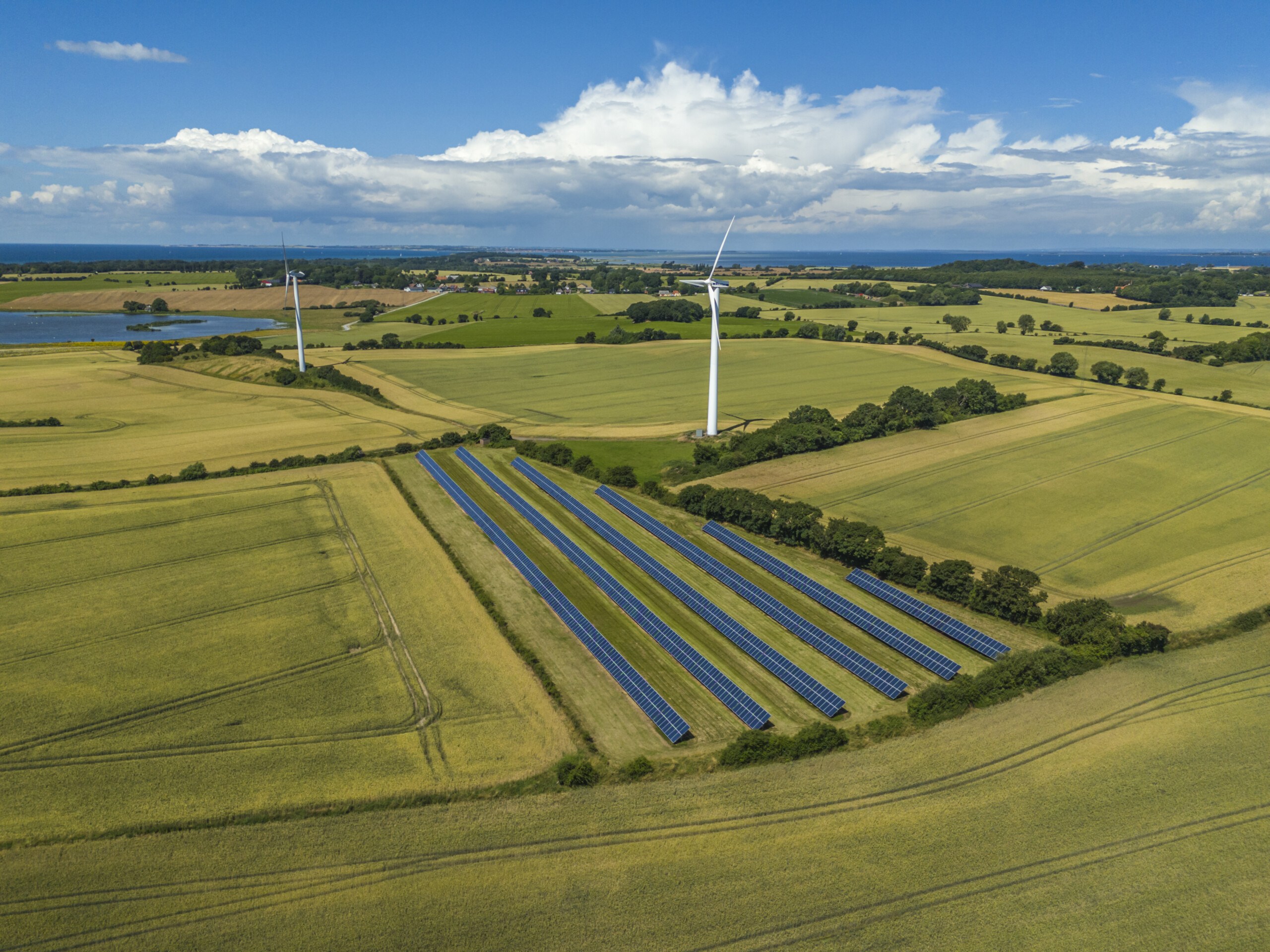 Researchers map Denmark’s environmental microbiome for the first time