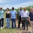 First US field trial tests biosolids as fertilizer for industrial hemp
