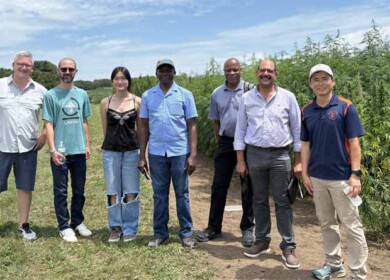 First US field trial tests biosolids as fertilizer for industrial hemp