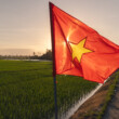 Vietnam proposes looser rules for gene-edited crops