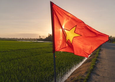 Vietnam proposes looser rules for gene-edited crops