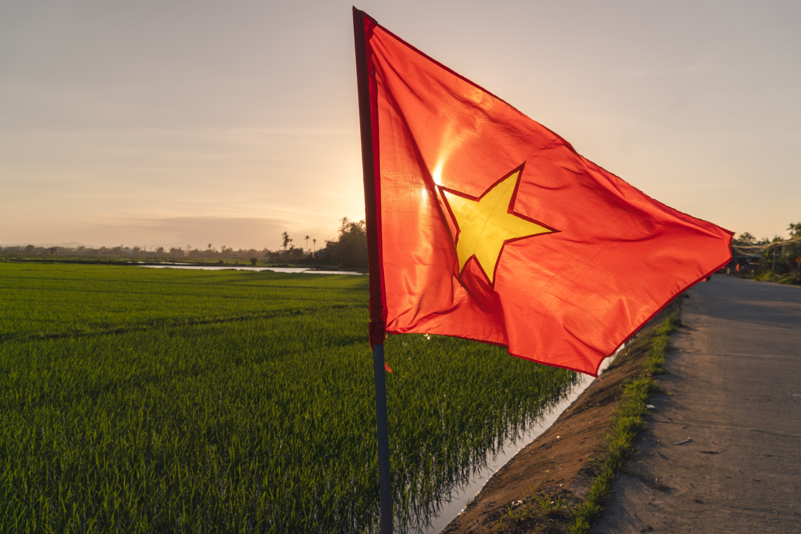 Vietnam proposes looser rules for gene-edited crops