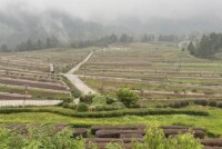 ADB approves dual loans to support climate-smart agriculture and coastal resilience in China