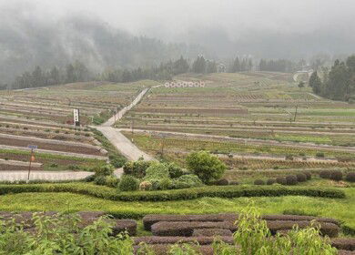 ADB approves dual loans to support climate-smart agriculture and coastal resilience in China
