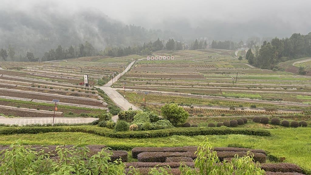 ADB approves dual loans to support climate-smart agriculture and coastal resilience in China