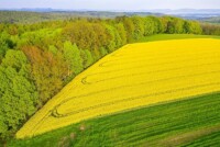 Corteva and Hexagon Bio form multimillion-dollar joint venture to advance nature-inspired crop protection