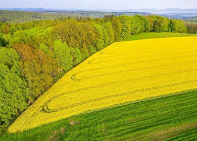 Corteva and Hexagon Bio form multimillion-dollar joint venture to advance nature-inspired crop protection