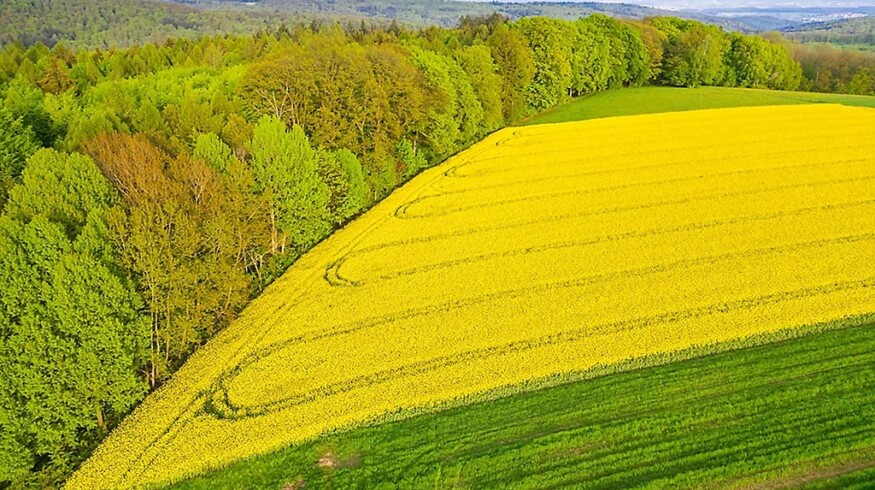 Corteva and Hexagon Bio form multimillion-dollar joint venture to advance nature-inspired crop protection