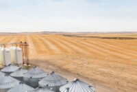 Alberta Grains commits $600,000 to support barley breeding in western Canada