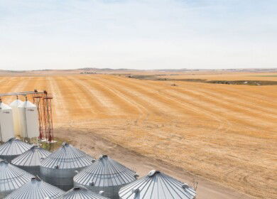 Alberta Grains commits $600,000 to support barley breeding in western Canada