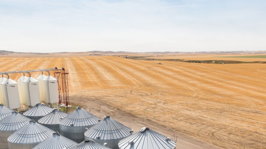 Alberta Grains commits $600,000 to support barley breeding in western Canada