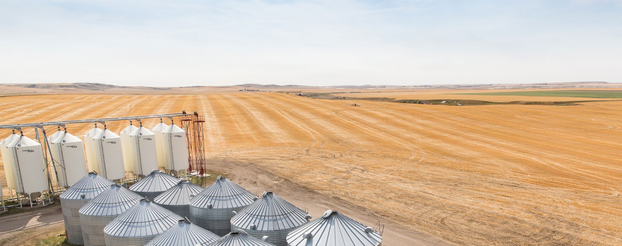 Alberta Grains commits $600,000 to support barley breeding in western Canada