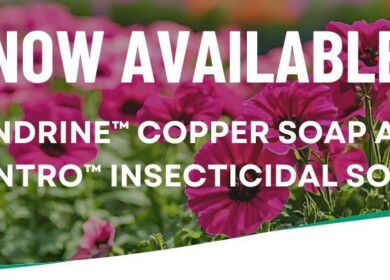 BioWorks adds copper fungicide and insecticidal soap to crop protection portfolio
