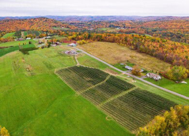 USDA sets per-acre payment rates under Farmer Bridge Assistance Program