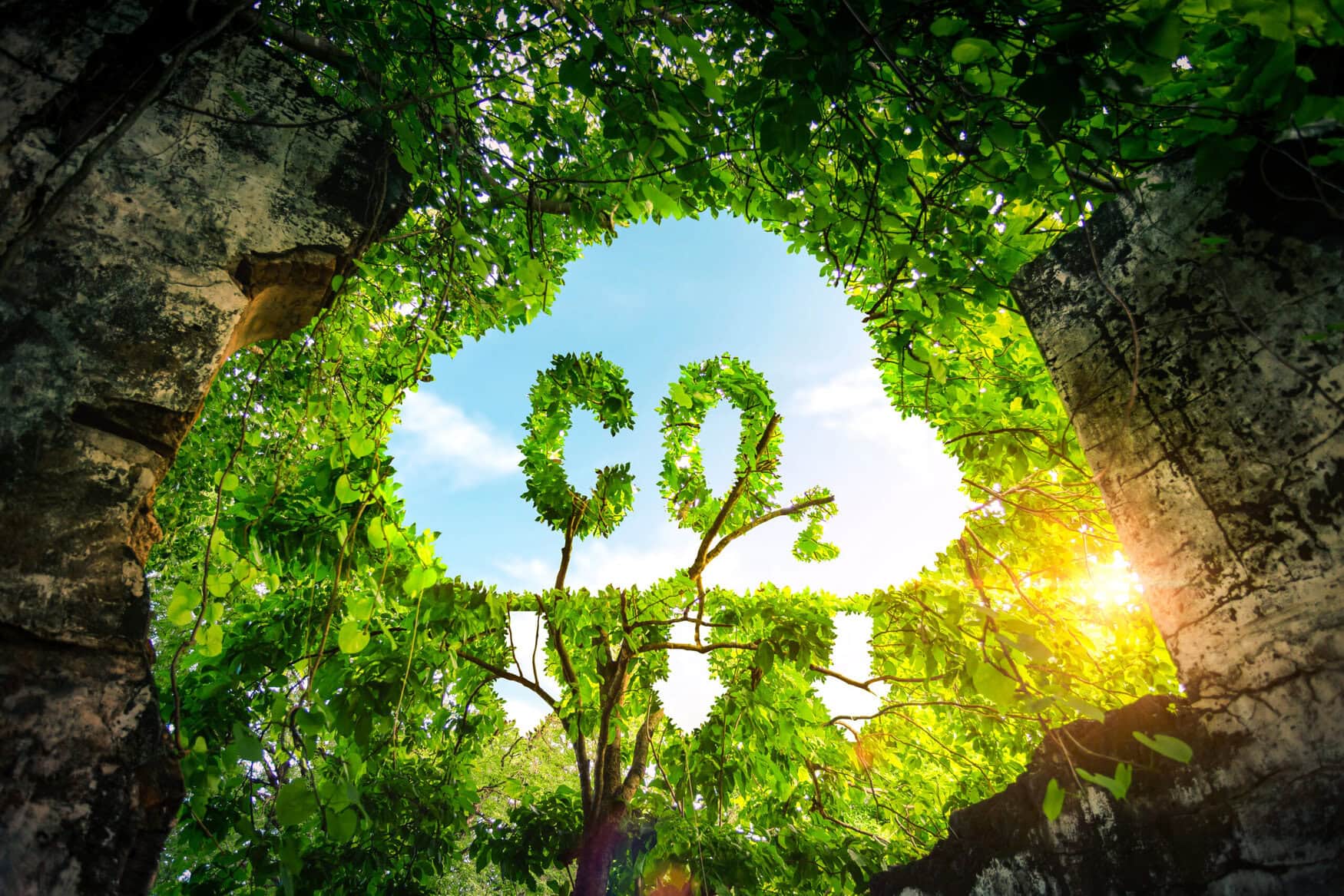 CF Industries and POET launch low-carbon fertilizer pilot