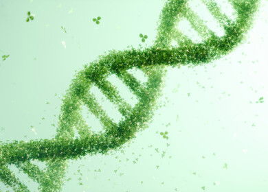 Discovery that plants tap bacteria-like genes to produce alkaloids may open new paths for crop protection products