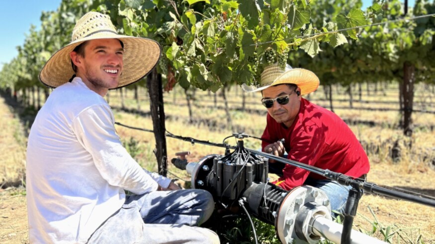 Lumo partners with Wyatt to standardize vineyard irrigation in Napa and Sonoma
