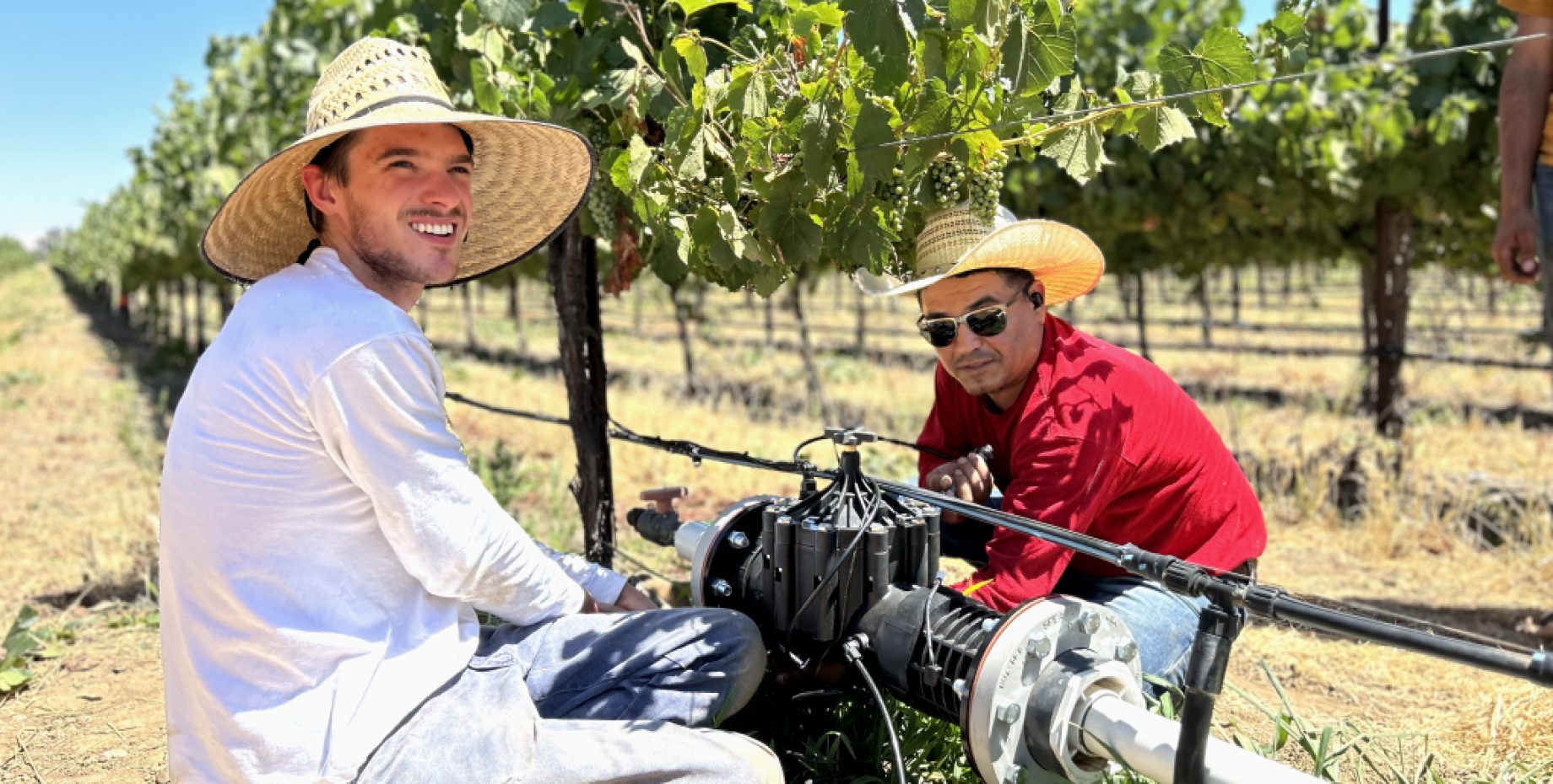 Lumo partners with Wyatt to standardize vineyard irrigation in Napa and Sonoma