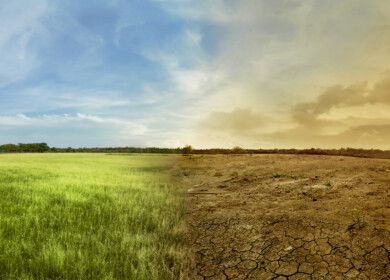 China deploys drought-resilient algae to stabilize desert land