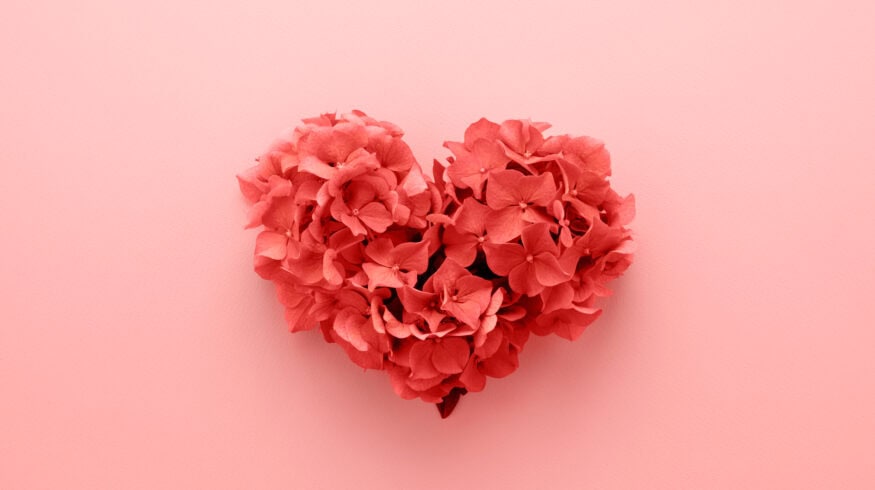 Valentine’s Day gardening tip: Houseplants with heart-shaped appeal