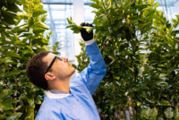 Invaio Sciences partners with Brazil’s Fundecitrus to target citrus greening