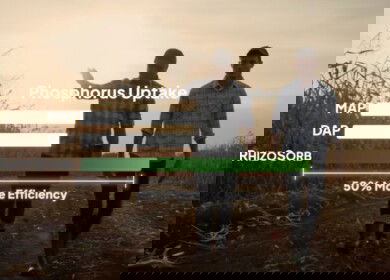 Phospholutions advances RhizoSorb approvals and expands leadership team