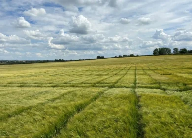 RAGT completes purchase of Syngenta malting barley seed business