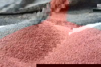 Grupa Azoty secures potash supply from Nutrien for its Polish NPK fertilizer production