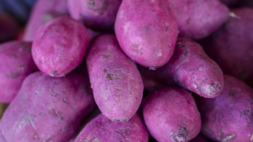 Global appetite for ube strains Philippine supply as farmers struggle to expand production