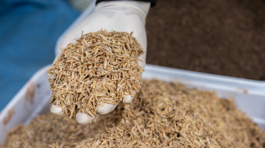 Rice husk carbonization gains traction as circular agriculture solution