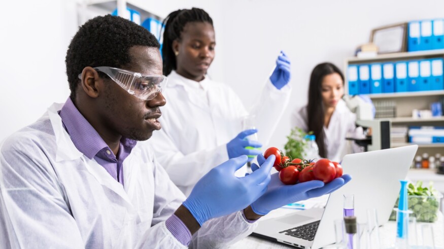 Syngenta promotes AI-driven farming solutions at World Economic Forum