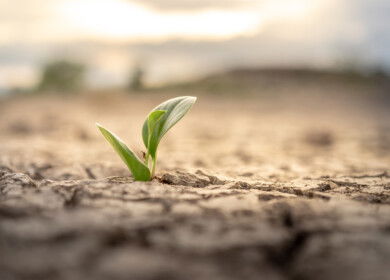 Texas engineers develop hydrophobic sand layer to cut irrigation losses during drought