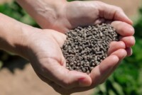 Windfall Bio’s Josh Silverman: ‘We are transforming methane from a cost into a revenue stream’