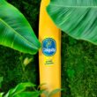 Chiquita completes banana pan-genome to accelerate disease-resistant breeding