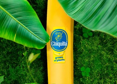 Chiquita completes banana pan-genome to accelerate disease-resistant breeding
