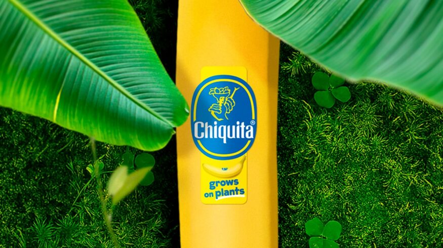Chiquita completes banana pan-genome to accelerate disease-resistant breeding