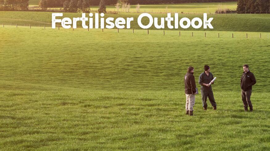 Ballance Agri-Nutrients issued 2026 global fertilizer markets report