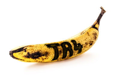 Scientists identify gene that could shield bananas from Panama disease